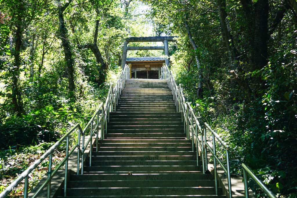 参道の階段