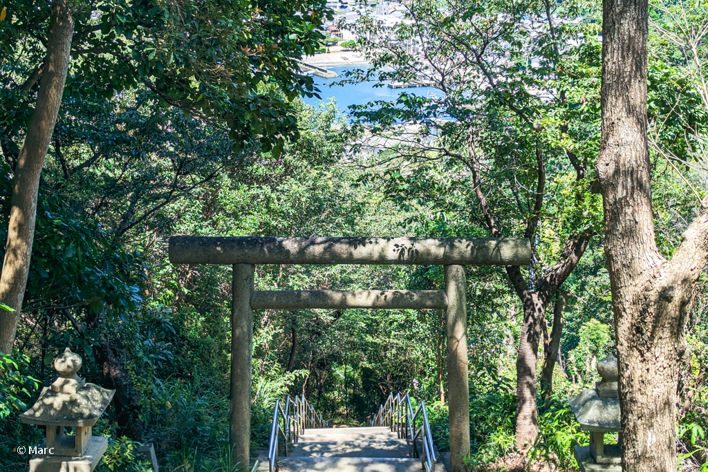 山頂からの眺め