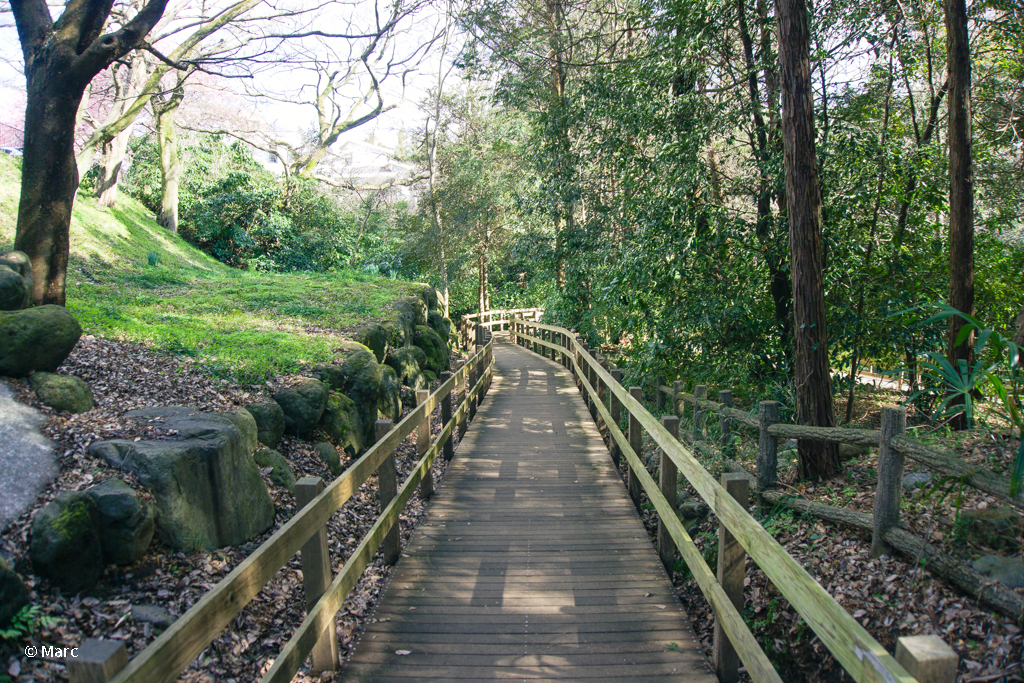 遊歩道