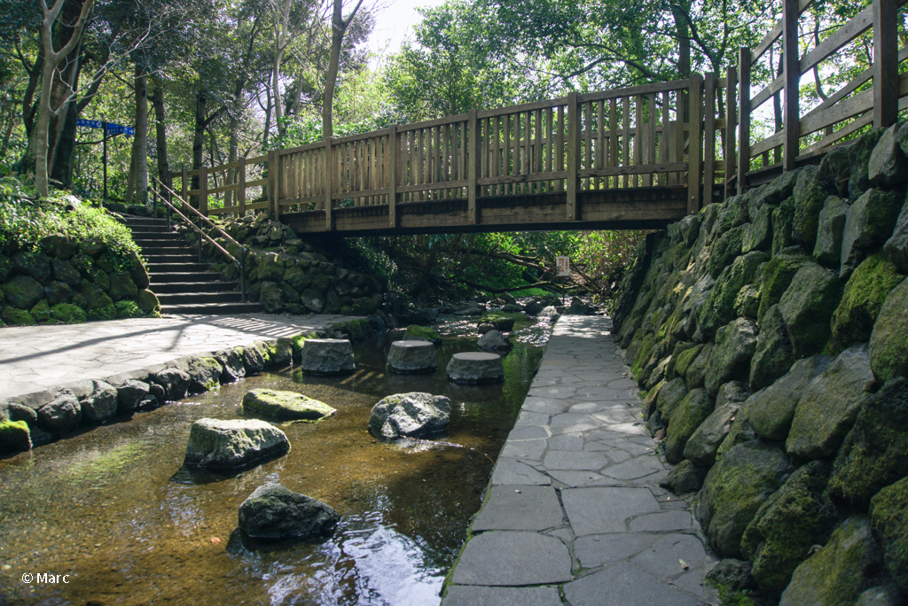 湧き水広場